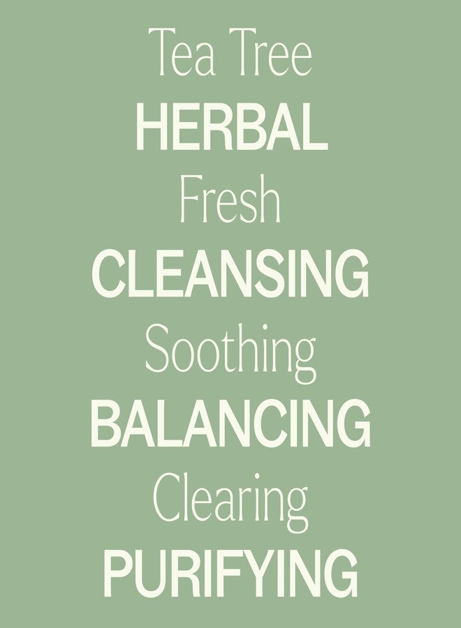 Plant Therapy Tea Tree (Melaleuca) Hydrosol 4 oz by-Product of Essential Oils - Image 4